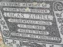 Lucas ZIRBEL, son brother,
accidentally killed 7 Dec 1930 aged 17 years;
--
shot himself getting through fence -- research contact: J HOGER
Caffey Cemetery, Gatton Shire