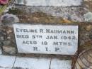 May Elizabeth,
daughter of Mr & Mrs H.W. NAUMANN,
died 9 March 1928 aged 13 months;
Eveline R. NAUMANN,
died 5 Jan 1942 aged 18 months;
Caffey Cemetery, Gatton Shire