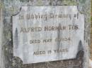 Alfred Norman TEIS,
died 6 May 1934 aged 19 years;
Caffey Cemetery, Gatton Shire
