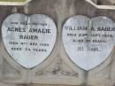 Agnes Amalie BAUER, mother,
died 4 Nov 1956 aged 74 years;
William A. BAUER,
died 23 Sept 1933 aged 54 years;
Caffey Cemetery, Gatton Shire