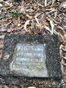 Rev Francis TRIPP B.A.
(Oxford)
d: 20 May 1874 aged 44 at Cooktown
Francis TRIPP arrived in Cooktown on 10 May 1874. Ten days later he died. He came to administer the Cooktown parish for the Church of England. He originally left England in 1863 to serve in Amuri, New Zealand and later in Copperhead near Clermont, Queensland.
In New Zealand he was considered eccentric. Suggestions of an appointment to a neighbouring parish net frosty reception. In contrast ther Cooktown Courier of 1874 reported TRIPP was followed to the grave by nearly all the most influential residents of the town. TRIPPs headstone is the earliest surviving in the cemetery.
Cooktown Cemetery