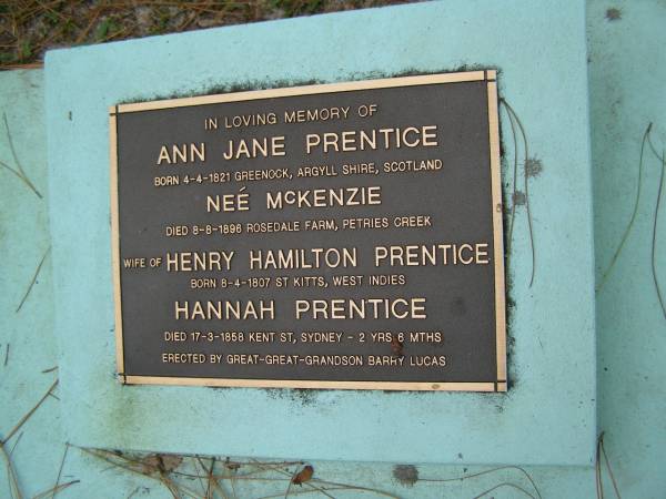 Ann Jane PRENTICE (nee McKENZIE)  | b: 4 Apr 1821 Greenock, Argyll Shire Scotland  | d: 8 Aug 1896 Rosedale Farm, Petries Creek  | wife of  | Henry Hamilton PRENTICE  | b: 8 Apr 1807 St Kitts West Indies  |   | Hannah PRENTICE  | d: 17 Mar 1858 Kent St, Sudney aged 2 yr 6 mo  |   | erected by great great grandson Barry Lucas  |   | Diddillibah Cemetery, Maroochy Shire  |   | 