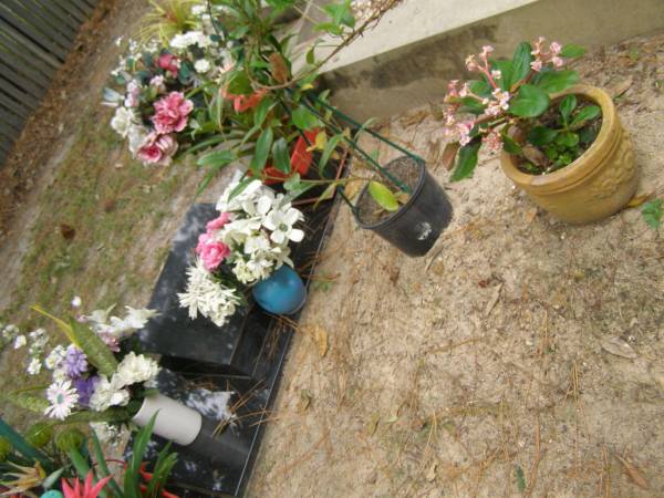   | Diddillibah Cemetery, Maroochy Shire  |   | 