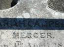 Sarah Campbell MERCER
b: 4th Apr 1851, d: 8 Feb 1855
(research contact: Lorraine Graham has a clarification of the bith date from the Baptism)
(research contact: Penelope Wright: Birth certificate 4 Apr 1854)
Fassifern Pioneer Cemetery
