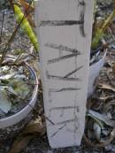 TAYLER, HAI-01-11;
Gheerulla cemetery, Maroochy Shire