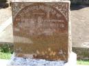 Josephine Mary WILLIS, wife mother,
died 29 May 1956 aged 35 years;
Gleneagle Catholic cemetery, Beaudesert Shire