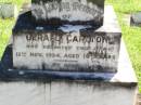 Gerald CARLTON,
died 12 Nov 1934 aged 16 years;
Gleneagle Catholic cemetery, Beaudesert Shire