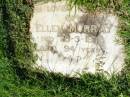 Ellen MURRAY,
died 20-3-1978 aged 94 years;
Gleneagle Catholic cemetery, Beaudesert Shire