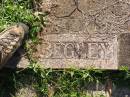 Peter BEGLEY,
born County Armagh Ireland,
died 26 May 1948 aged 85 years;
Gleneagle Catholic cemetery, Beaudesert Shire