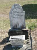 Sarah Lily WALLACE (nee GRENIER)
19 Sep 1926 aged 54
Robert WALLACE
2 Nov 1936 aged 60
Gods Acre cemetery, Archerfield, Brisbane