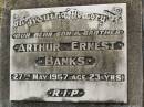 Arthur Ernest BANKS,
son brother,
died 27 May 1967 aged 23 years;
Goomeri cemetery, Kilkivan Shire