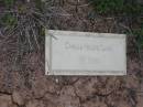 Camilla Helene LEWIS
aged 88
Haigslea Lawn Cemetery, Ipswich