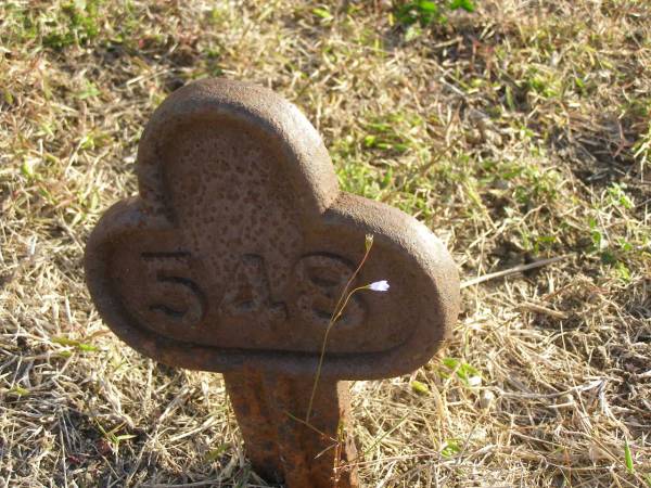548  | Harrisville Cemetery - Scenic Rim Regional Council  |   | 