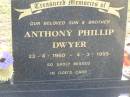 Anthony Phillip DWYER
b: 23 Apr 1960, d: 4 Mar 1995
Harrisville Cemetery - Scenic Rim Regional Council