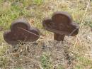 397
447
Harrisville Cemetery - Scenic Rim Regional Council