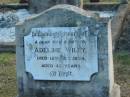 Adeline WILEY
d: 12 Oct 1939, aged 43
Harrisville Cemetery - Scenic Rim Regional Council
