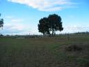 Harrisville Cemetery - Scenic Rim Regional Council