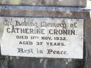 Charles J. GUNNE (Joe),
died 23 July 1917 aged 25 years;
Catherine GUNNE,
died 21 April 1928 aged 66 years;
Charles GUNNE,
died 3 Jan 1936 aged 72 years;
Patrick CRONIN (Paddie),
died 29 June 1933 aged 4 years;
Catherine CRONIN (Katie),
died 11 Nov 1932 aged 37 years;
Helidon Catholic cemetery, Gatton Shire