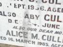 John J. CULLINAN, husband father,
died 3 Sept 1956 aged 57 years;
baby CULLINAN,
died 24 June 1957;
Alice M. CULLINAN,
died 16 March 1985 aged 81 years;
Helidon Catholic cemetery, Gatton Shire