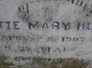 Charlotte Mary HULL,
died 3 Aug 1907 aged 27 years;
Charlotte Williams,
died 9 July 1911 aged 67? years;
Arthur Harris WARD,
died 16 Oct 1896 aged 21 years;
David WARD,
died 17 Aug 1882 aged 43 years;
Highfields Baptist cemetery, Crows Nest Shire