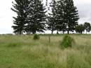 Hoya Lutheran Cemetery, Boonah