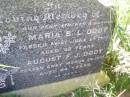 Maria B.L. DODT, mother,
died 23 June 1910 aged 32 years;
August F.J. DODT, father,
died 26 March 1957 aged 84 years;
Ingoldsby Lutheran cemetery, Gatton Shire