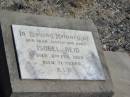 Isobel REID,
sister aunt,
died 8 Feb 1969 aged 71 years;
Jondaryan cemetery, Jondaryan Shire