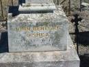 John Benedict OSHEA,
died 16 Feb 1966 aged 81 years;
John OSHEA,
husband of Julia OSHEA,
native of Co Cork Ireland,
died Lagoon Creek 23 June 1898 aged 47 years;
Julia OSHEA,
relict of late John OSHEA,
native of Co Cork Ireland,
died Toowoomba 22 July 1934 aged 80 years;
Jondaryan cemetery, Jondaryan Shire