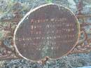August MULLER
b: 30 Aug 1836, d: 20 Jan 1917
Engelsburg Baptist Cemetery, Kalbar, Boonah Shire