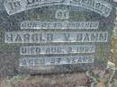 Harold V. DAMM, brother,
died 9 Aug 1957 aged 57 years;
Kalbar General Cemetery, Boonah Shire