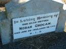 Norah GROGAN, mother,
died 26 June 1953 aged 78 years;
Kalbar General Cemetery, Boonah Shire