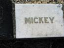 Leslie R. DIECKMANN (Mickey), son brother,
accidentally killed 22 May 1964 aged 24 years;
Kalbar General Cemetery, Boonah Shire