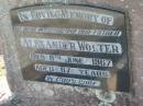 Alexander WOLTER, husband father,
died 8 June 1967 aged 67 years;
Kalbar General Cemetery, Boonah Shire
