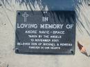 Andre NAVIE-BRACE,
died 10 Nov 2001,
son of Michael & Rowena;
Kalbar General Cemetery, Boonah Shire