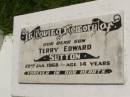 Terry Edward SUTTON, son, died 22 Jan 1968 aged 14 years; Kilkivan cemetery, Kilkivan Shire 