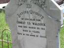 Ernest Ed WALDOCK, son, died 20 March 1912 aged 2 1/2 years; E.L. (Maid) WALDOCK, wife mother, died 1 July 1948 aged 52 years; A.M. (Fred) WALDOCK, father grandfather, died 3 Nov 1975 aged 78 years; Kilkivan cemetery, Kilkivan Shire 