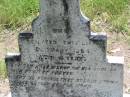 John O'SHEA, died 20 Jan 1904 aged 4 years; Kilkivan cemetery, Kilkivan Shire 