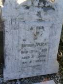 Arthur J. FLICK,
died 6 Aug 1920 aged 5 years 2 months;
Killarney cemetery, Warwick Shire