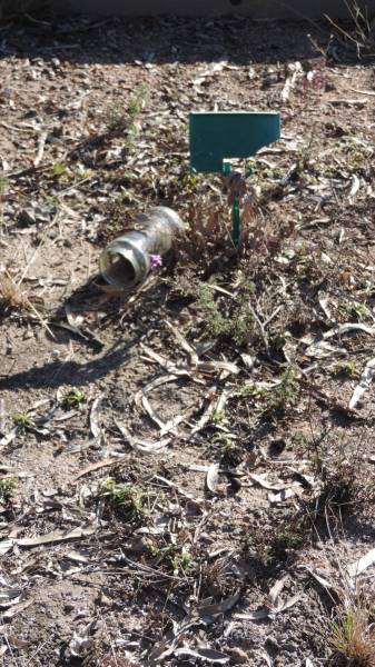   | Leyburn Cemetery  |  00  | 