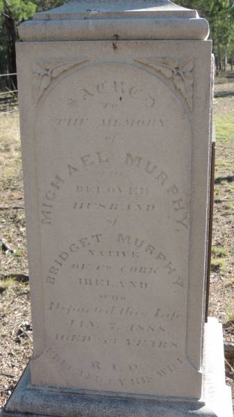 Michael MURPHY  | native of Cork Ireland  | d: 7 Jan 1888 aged 53  | Husband of Bridget MURPHY  |   | Bridget MURPHY  | d: 22 Jun 1902 aged 74  |   | Julia MEARA  | b: 1855  | buried 1878  | daughter of Bridget and Michael MURPHY  | mother of Julia Winifred MEARA  | granddaughter Julia (Sheila) HEGARTY  |   | Leyburn Cemetery  |   | 
