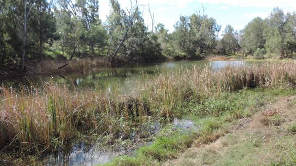 Site of Lilyvale township  |   |   | 