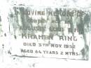 Auguste Louise M. KRAHENBRING,
died 5 Nov 1952 aged 84 years 2 months;
Lockrose Green Pastures Lutheran Cemetery, Laidley Shire