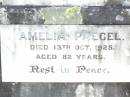 Karl Wilhelm PAEGEL,
died 13 Dec 1927 aged 88 years;
Amelia PAEGEL,
died 13 Oct 1925 aged 82 years;
Lockrose Green Pastures Lutheran Cemetery, Laidley Shire