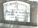 Julius F.W. WALTHER, father,
died 24 Juen 1956 aged 96 years;
Lockrose Green Pastures Lutheran Cemetery, Laidley Shire