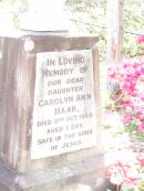 Carolyn Ann HAAK, daughter,
died 5 Oct 1954 aged 1 day;
Lockrose Green Pastures Lutheran Cemetery, Laidley Shire