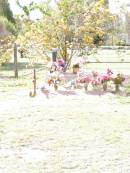 Karen Gayle WALTHER,
8-11-1955 - 16-4-2003,
partner of Glenn,
mother & nanny of Garth, Mathew, Kelvin & Kristi & families,
daughter of Ron & Marge;
Kristi Jan WALTHER, with mum,
21 Oct 1983 - 9 Nov 2???,
mother of Dakota;
Lockrose Green Pastures Lutheran Cemetery, Laidley Shire
