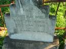 Beatrice May WHELAN,
born 2 Oct 1910 died 1 Jan 1911;
St Michaels Catholic Cemetery, Lowood, Esk Shire