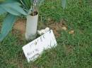 MILLER, Kerry Lee,
11-12-58 - 24-6-05;
Maclean cemetery, Beaudesert Shire