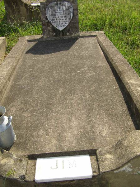 James (Jim) Harold MALLINSON,  | son brother,  | died 11 May 1923? aged 14 years 11 months;  | Maroon General Cemetery, Boonah Shire  | 