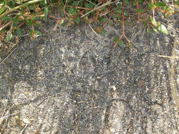 Mary Anne POCOCK;  | Maroon General Cemetery, Boonah Shire  | 